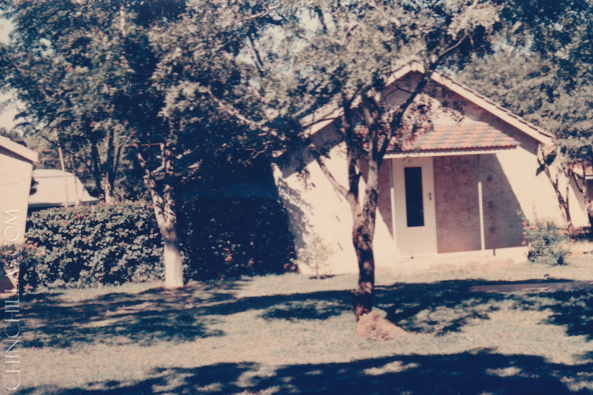 gillingham violet chinchilla birthplace salisbury rhodesia zimbabwe